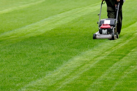 How Often Should You Mow Your Lawn in Jacksonville, Florida?