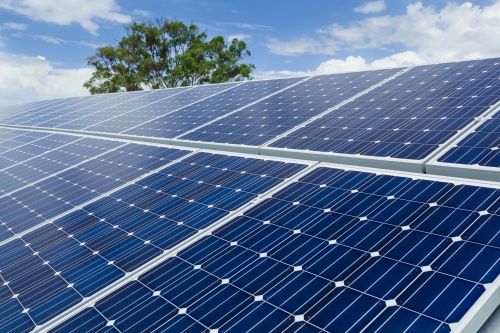 Solar panel cleaning technician safely washing Jacksonville, Florida solar panels on roof.