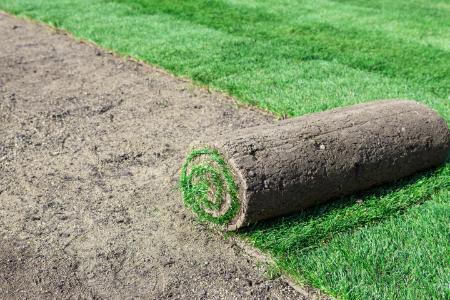 Sod Installation